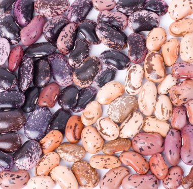 Color kidney beans isolated on a white background