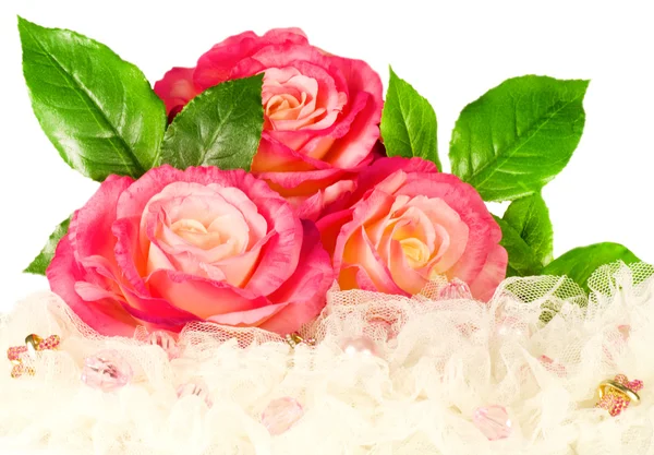 Bodegón romántico con rosa —  Fotos de Stock