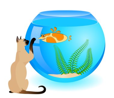 cartoon kat met kleine kleurrijke tropische vissen in een aquarium