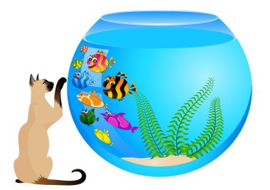 cartoon kat met kleine kleurrijke tropische vissen in een aquarium