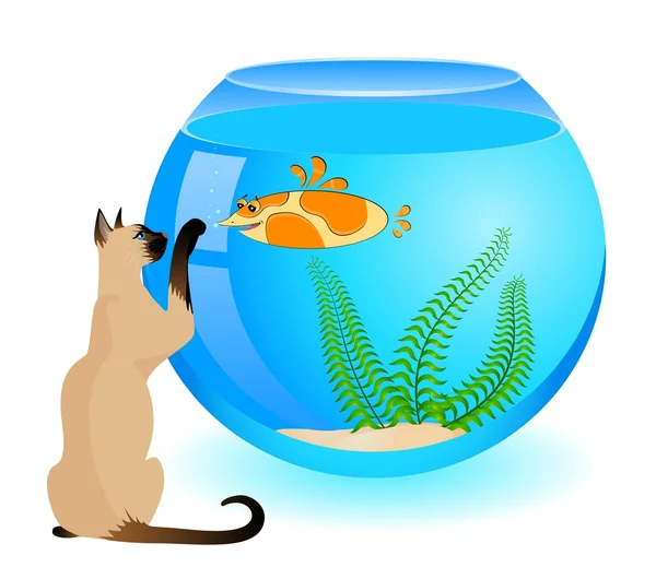 Gato dos desenhos animados com pouco peixe tropical colorido no aquário — Vetor de Stock