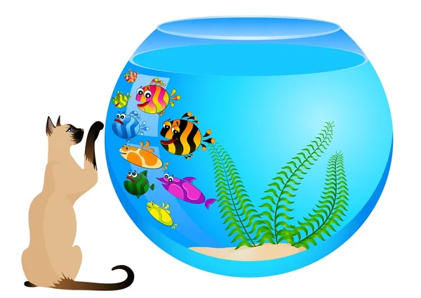 Карикатурная кошка с маленькими красочными тропическими рыбками в аквариуме — стоковый вектор