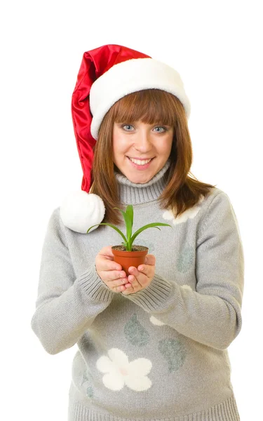 Vrouw in santa claus kleding bedrijf een kleine plant — Stockfoto
