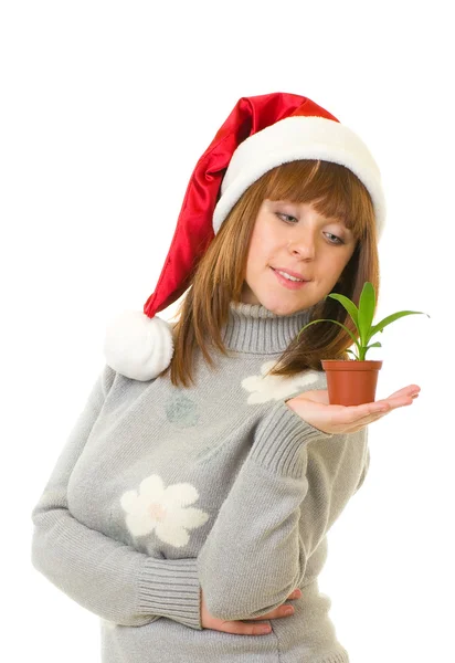 Mulher em roupas de Papai Noel segurando uma pequena planta — Fotografia de Stock