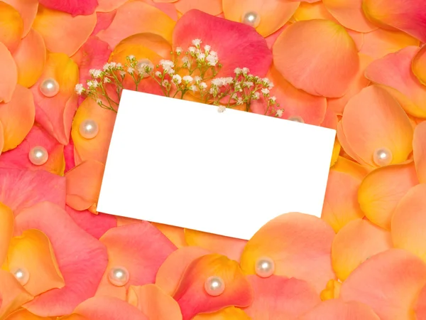 당신의 텍스트를 작성 하는 배너와 장미 꽃잎 — 스톡 사진