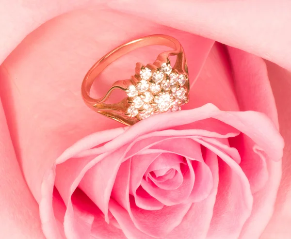 Krásné růžové růže s zlatý prsten — Stock fotografie