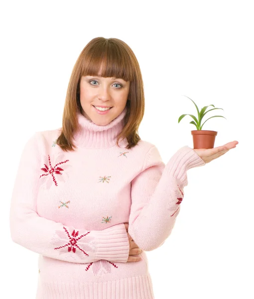 Hermosa chica sonriente sosteniendo una pequeña planta — Foto de Stock