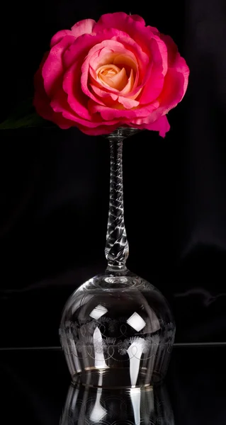 Όμορφη wineglass με κόκκινο τριαντάφυλλο — Φωτογραφία Αρχείου