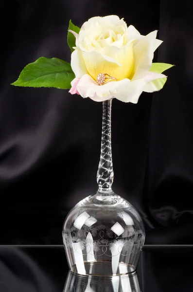 Mooie wijnglas met witte roos — Stockfoto