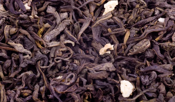 Aromatische zwarte thee — Stockfoto