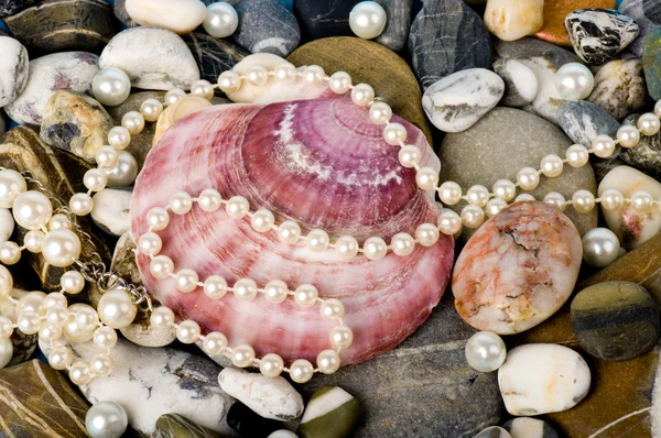 Bella conchiglia esotica e pietre, perle — Foto Stock