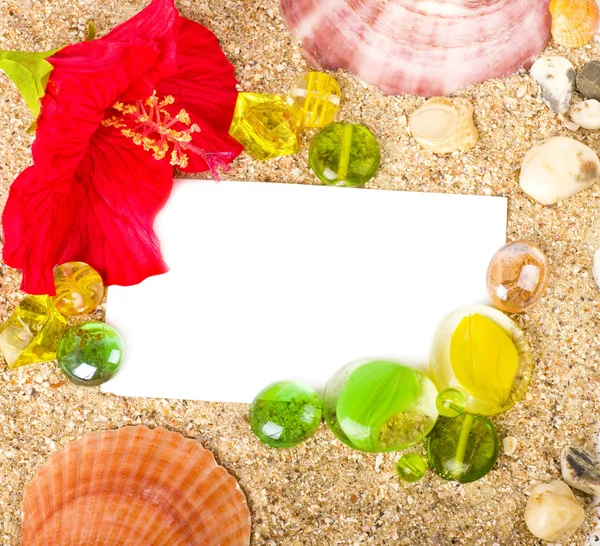Beautiful exotic shell, stones, crystals and flower — Stock Photo, Image