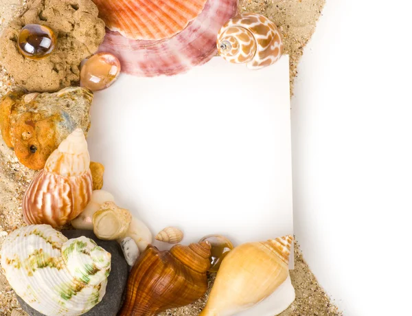 Beautiful exotic shell, stones, crystal with banner add — Stock Photo, Image
