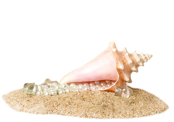 Beautiful exotic shell and pearls on sand — Stock Photo, Image