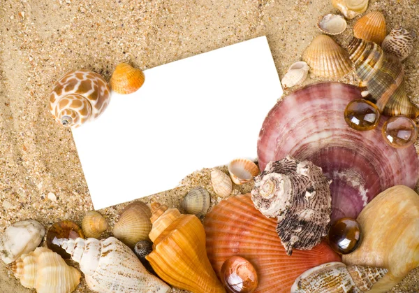 Beautiful exotic shell, stones, crystal — Stock Photo, Image