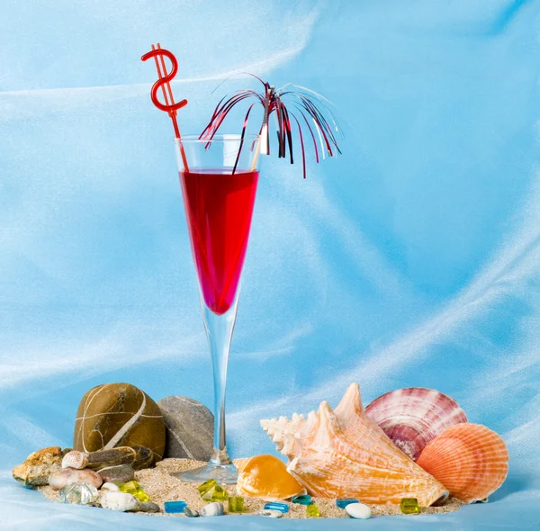 Cocktail esotico con gusci tropicali — Foto Stock