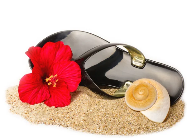 Černý flip flop v písku s shell a červený květ — Stock fotografie
