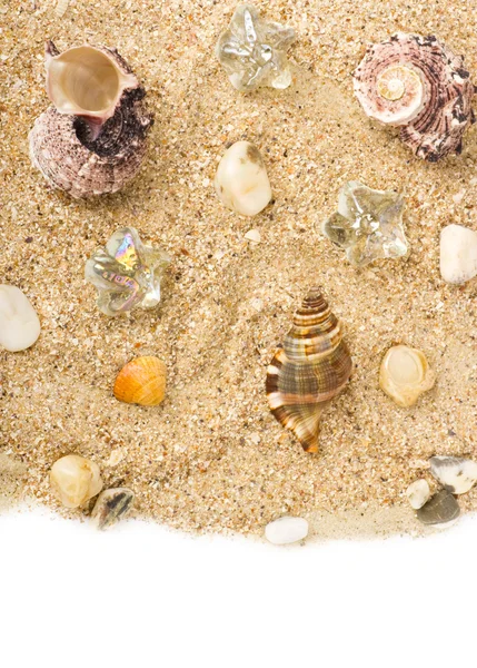 Guscio esotico e cristalli su uno sfondo di sabbia — Foto Stock