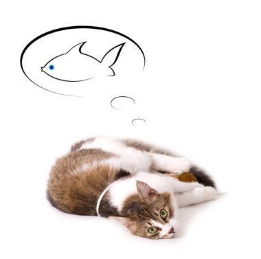 Beautiful young cat dream about fish on white background clipart