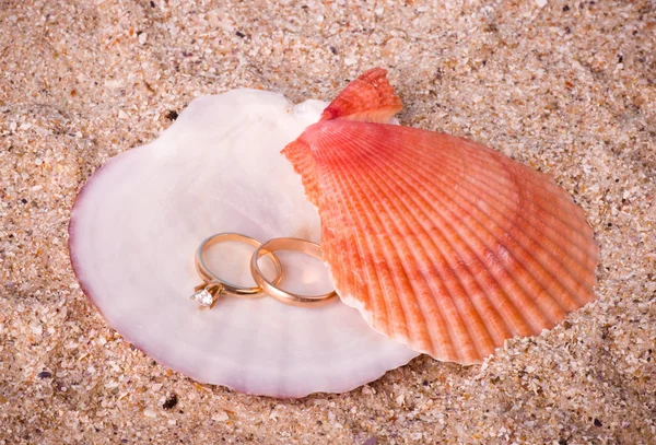 Vacker två bröllop gyllene ringar på shell — Stockfoto