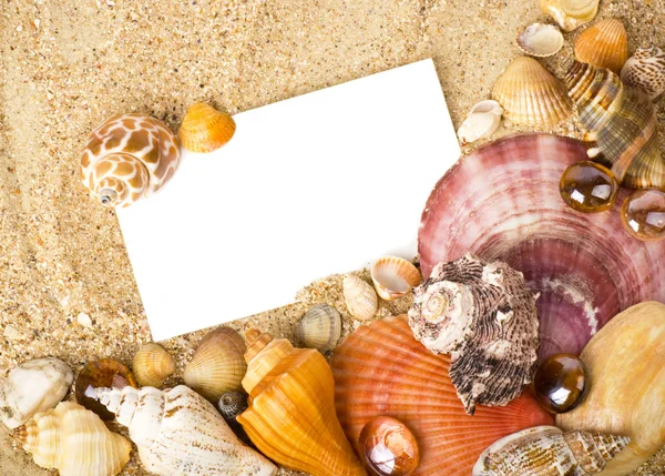 Bela concha exótica, pedras, cristal com banner adicionar na areia — Fotografia de Stock