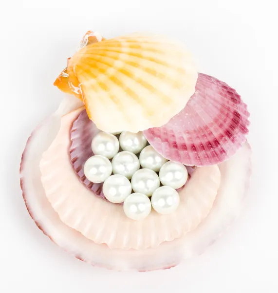 Bella conchiglia esotica e perle su sfondo bianco . — Foto Stock