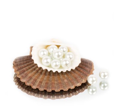 Shell with pearl necklace over white background clipart