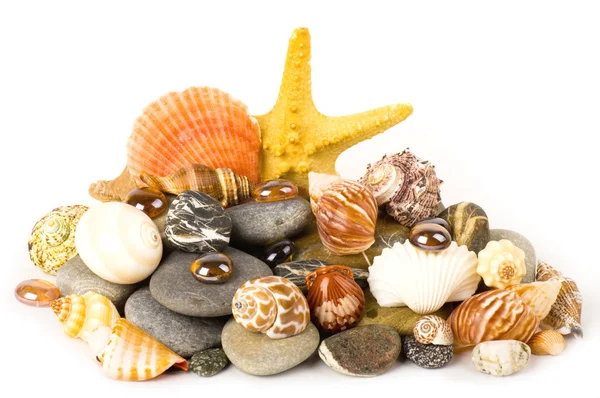 Beautiful exotic shell and stones, pearls on white background. — Stock Photo, Image