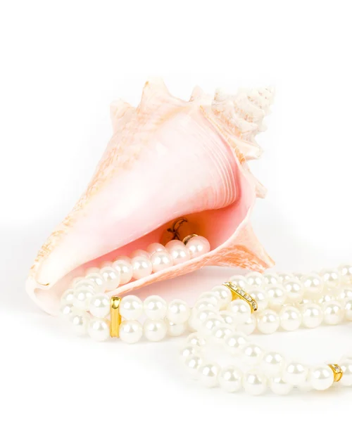 Shell com colar de pérolas sobre fundo branco — Fotografia de Stock