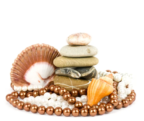 Shell with pearl necklace over white background — Stock Photo, Image