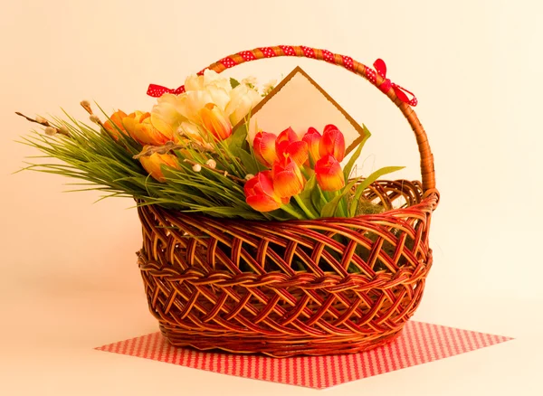 Jarní květiny s transparentem, přidání — Stock fotografie