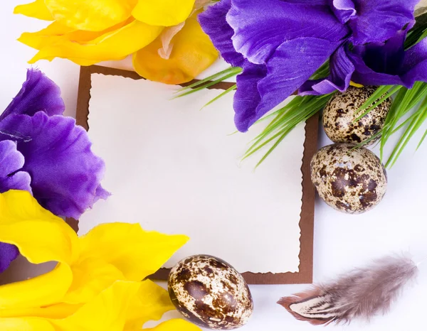 Křepelčí vejce a jarní květy s transparentem — Stock fotografie