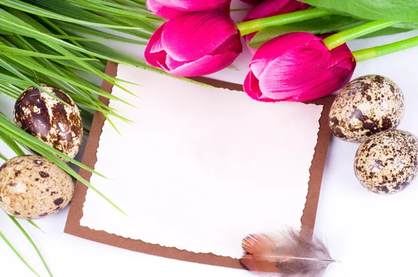 Kwarteleitjes en spring tulpen met banner toevoegen — Stockfoto