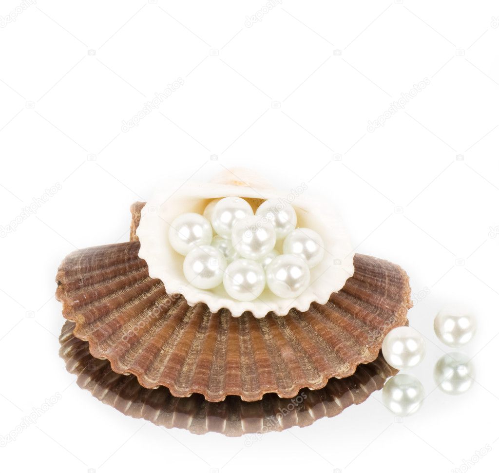 Shell with pearl necklace over white background
