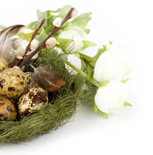 Nest with quail eggs and spring flowers — Stock Photo, Image