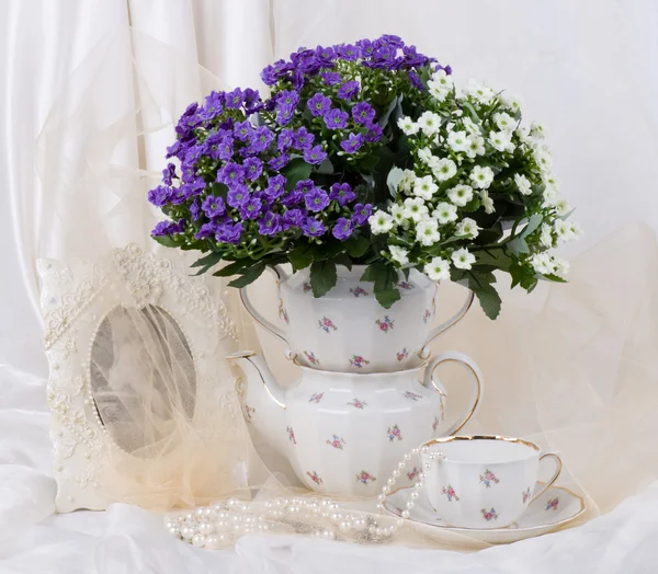Bodegón con flores azules — Foto de Stock