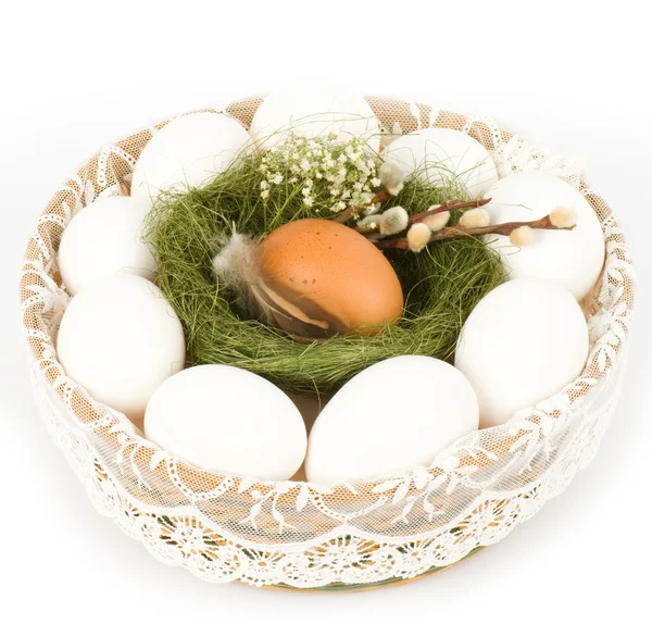 白の背景にウズラの卵をイースターの入れ子にします。 — ストック写真