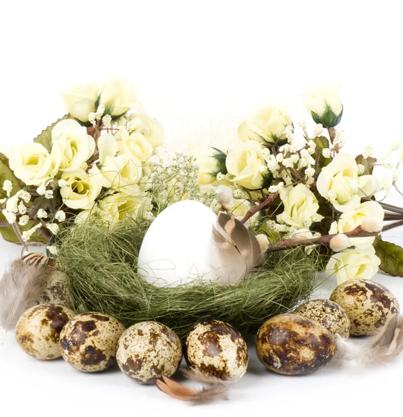 Nest with Easter quail eggs on white background — Stock Photo, Image