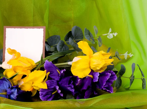 Banner adicionar com tulipas de primavera — Fotografia de Stock
