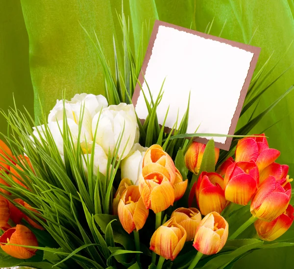 Bannière ajouter avec des tulipes à ressort — Photo