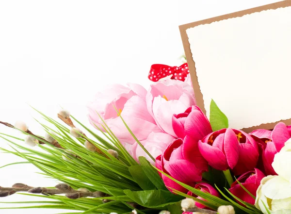 Banner aggiungere con fiori primaverili — Foto Stock