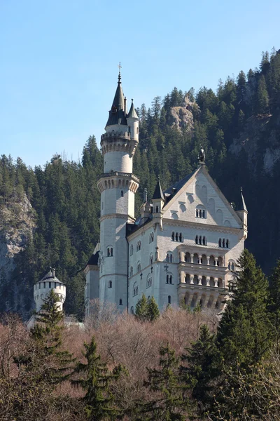 Дворец Нойштайн, Бавария, Германия — стоковое фото