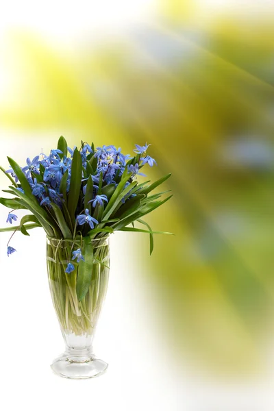 Vase de fleurs avec fond abstrait — Photo