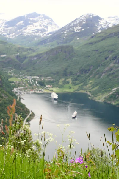 Pelouse d'herbe sur le fjord — Photo