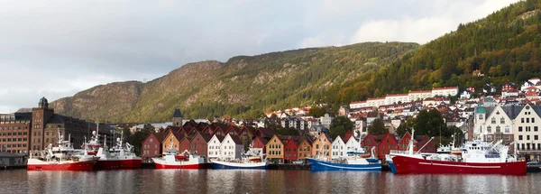 Bergen panorama — Stok fotoğraf