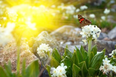 Flowers and stream clipart