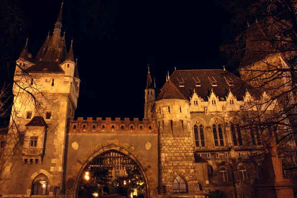 Замок у нічний час, Будапешт — стокове фото