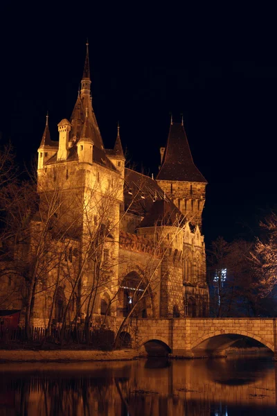 Замок ночью, Будапешт — стоковое фото
