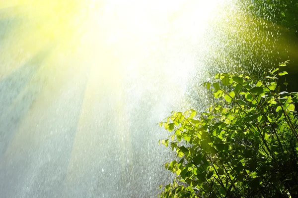 Rain and sun — Stock Photo, Image