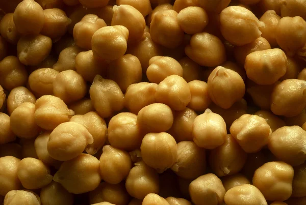 Stock image Garbanzo Beans or Chick Peas